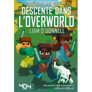 DESCENTE DANS L'OVERWORLD...