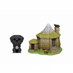 POP MAISON D HAGRID ET...