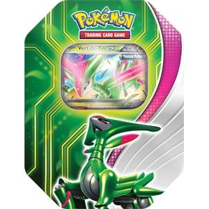 POKEMON POKEBOX VERT-DE-FER EX